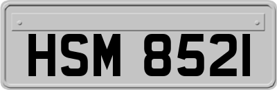 HSM8521