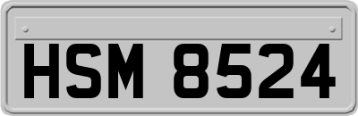 HSM8524