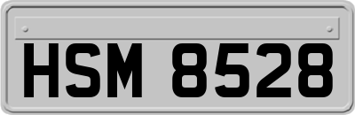 HSM8528