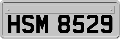 HSM8529
