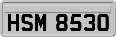 HSM8530