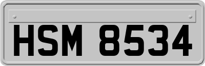 HSM8534