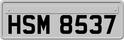HSM8537