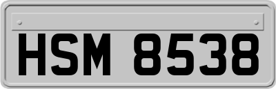 HSM8538