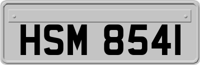 HSM8541