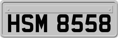 HSM8558