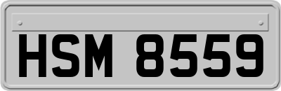 HSM8559