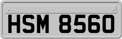 HSM8560