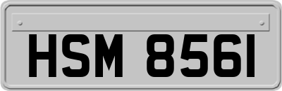 HSM8561