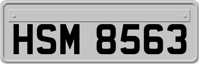 HSM8563