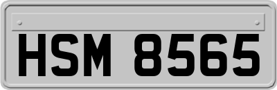 HSM8565