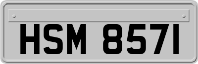 HSM8571
