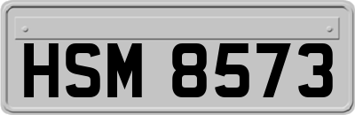 HSM8573