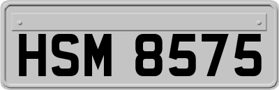 HSM8575