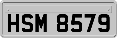 HSM8579