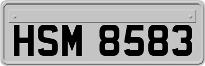 HSM8583