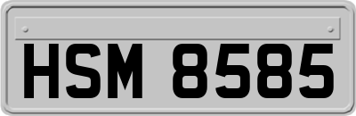 HSM8585