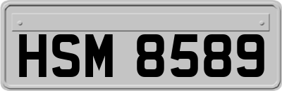 HSM8589