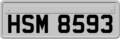 HSM8593