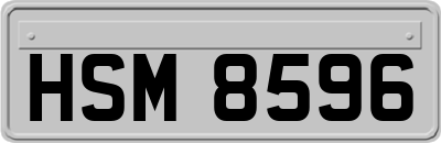 HSM8596