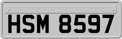 HSM8597