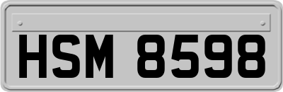 HSM8598