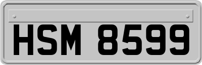 HSM8599