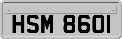 HSM8601