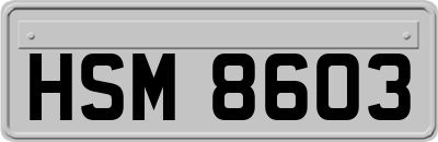 HSM8603