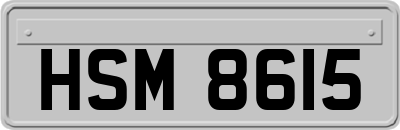 HSM8615