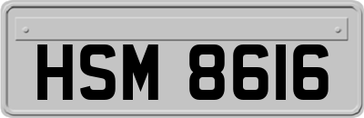 HSM8616