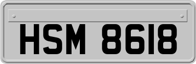 HSM8618
