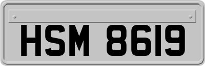HSM8619
