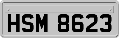 HSM8623