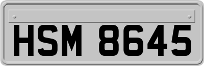 HSM8645