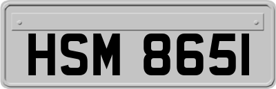 HSM8651