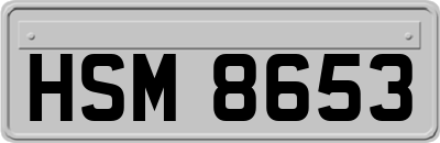 HSM8653