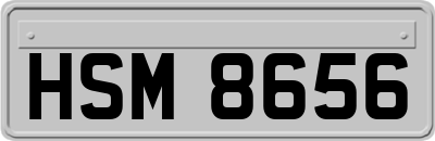 HSM8656