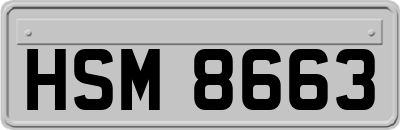 HSM8663