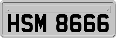 HSM8666