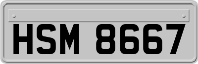 HSM8667