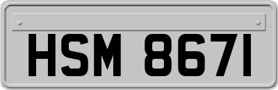 HSM8671