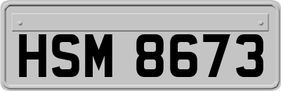 HSM8673