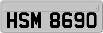 HSM8690