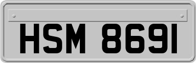 HSM8691