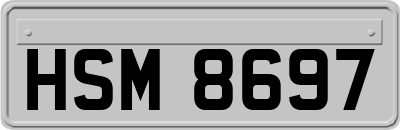 HSM8697