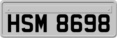 HSM8698