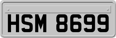 HSM8699