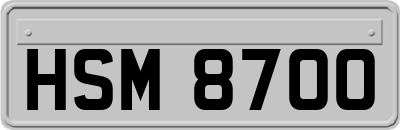 HSM8700