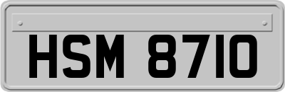 HSM8710